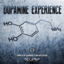 Dktronic - Experience