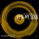 DJ Satellite & Dormidontov feat. Eleysha - Feel My Soul