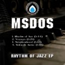 mSdoS - Voyages (Original Mix)