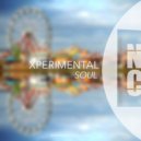 Xperimental - Soul (Iankoo Remix)