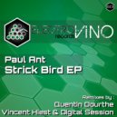 Paul Ant - Strick Bird (Quentin Dourthe Remix)