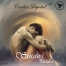 Sinawi - Controllability