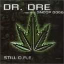 Dr. Dre feat. Snoop Dogg - Still D.R.E.