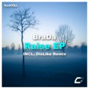 BraDa - Raise (DisLike Remix)