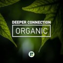 Deeper Connection - Summer Groove