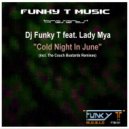 Dj Funky T feat. Lady Mya - Cold Night In June (Dj Funky T\'s Afro Dubstrumental)