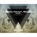 Neurosect - Dark Druid Rituals (Eleusyn Remix)