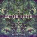 Bizzare Frequency - Shaman