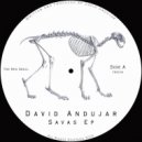 David Andujar - Grees