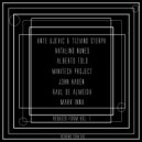 Raul De Almeida - Influenced (Original Mix)