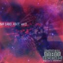 SIR1483 - Hokum B (Original Mix)