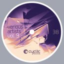 David Kulikov - Experience