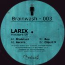Larix - Obiect X