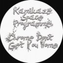 Kamikaze Space Programme - Didspeed