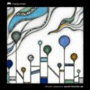 Vincent Casanova - Watermelon Smash (Birds ov Paradise Mescal Remix)