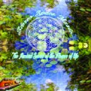 Stereo Space - Universal Shanti (Original Mix)