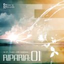Mizuki Ohkawa - Add Capacity