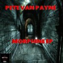 Pete Van Payne - LSD Pacifier