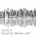 Z.O.L.T. - Secret Activity