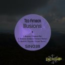 Ted Amber - Illusions