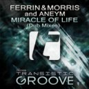 Ferrin & Morris, Aneym - Miracle Of Life