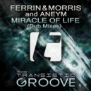 Ferrin & Morris, Aneym - Miracle Of Life (Dub Edit)