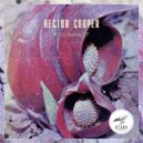 Hector Cooper - Analogue Porn Groove (Original Mix)