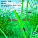 Kernel Key - Vetiver (Mr. Bizz Remix)