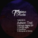 Adrien Trel - Earwitness (Original Mix)