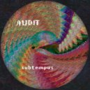 Audit - FDNBB