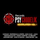 Leonard Ccs - Freaks Jumpers (Original Mix)