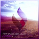 Tony Grand & Dxi Nilaya - Euphoria