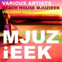 Paolo Viez - Funknova