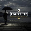 Carter - The Touch of You (Original Mix)
