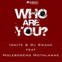 Ignite & DJ Swank feat Molebogeng Mothlamme - Who Are You? (Instrumental Mix)