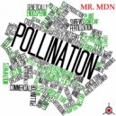 Mr.MDN - Bipolar Uncle