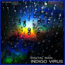Indigo Virus - End Of Days