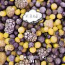 Leonardo Andres, Guile de Caminos - Grape Kush (Original Mix)