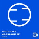Analog Jungs - Moonlight