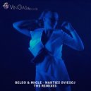 Migle & BeLeo - Nakties Šviesoj (Vinjay Space-Disco Remix)