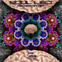 Soul Lied - Molecular Explosion
