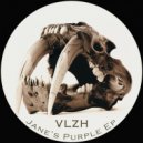 Vlzh - The Influence