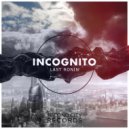 Last Ronin - Unity