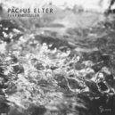 Pacius Elter - Engulfed In Nothingness