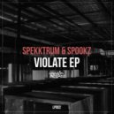 Spekktrum & Spookz - Intelligence