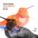 Plastic Heaven - Mesmerized (Original Mix)