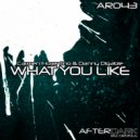 Carmen Fiorentino & Danny Digable - What You Like (Original Mix)