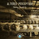 Altered Perception - Lord Of The Tings (Original Mix)