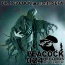 Dr. Peacock & Sefa - The World Is Spinning
