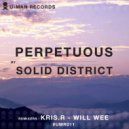 Solid District - Perpetuous (Kris.R Remix)